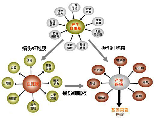 氫氣呼吸機(jī)適合哪些人群？