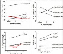 氫氣健康學(xué)——?dú)鋵?duì)免疫力的調(diào)節(jié)作用