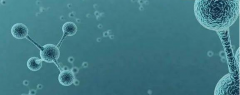 氫分子：效應和機制之間究竟有何區(qū)別呢？