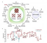 氫氣調(diào)控人臍靜脈內(nèi)皮細胞中miRNAs與黏附分子的表達