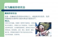 氫氣對難治性癲癇持續(xù)狀態(tài)的治療作用及機(jī)制研究