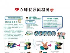 氫氣改善心臟驟停/心肺復(fù)蘇后大鼠心、腦損傷的作用及機(jī)制研究