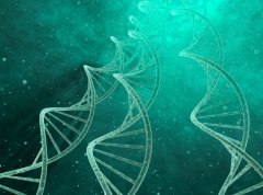 氫氣對膿毒癥的保護效應(yīng)及機制研究