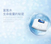 引領(lǐng)未來健康，專業(yè)氫氣水療儀的佼佼者