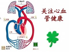 氫氣：心血管健康的神秘守護(hù)者