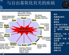 健康“氫”呼吸，身體添活力