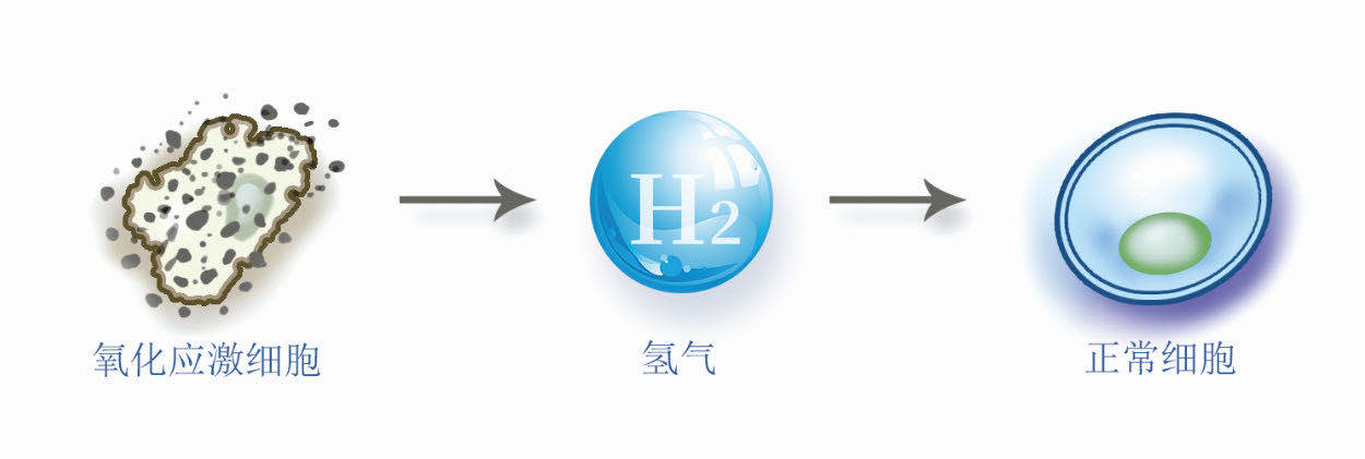 氫氣