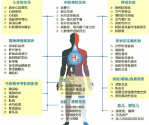 用氫力泉吸氫機(jī)，您的生活可以變得更健康