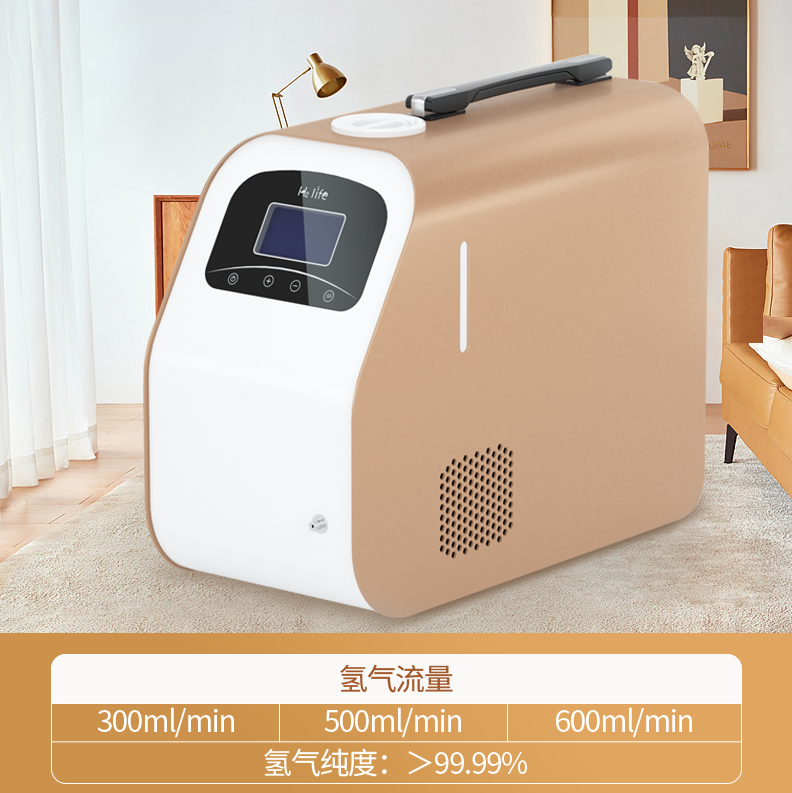 全球吸氫機有哪些品牌？選擇吸氫機應(yīng)注意什么？