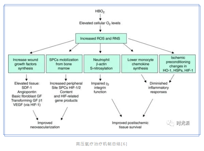 有事沒事都能吸，治病還能抗衰老？來呀，一起吸~