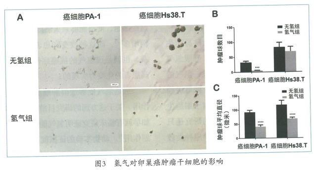 氫氣抑制卵巢癌的實(shí)驗(yàn)研究，氫氣能抑制腫瘤細(xì)胞的侵襲和遷移