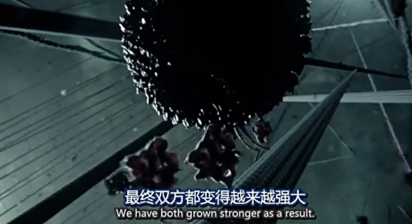 關(guān)于病毒，需要了解的三層知識(shí)