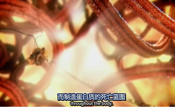 關(guān)于病毒，需要了解的三層知識(shí)