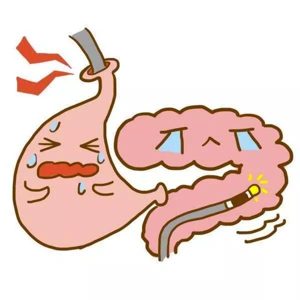 胃腸疾病的預防性改善
