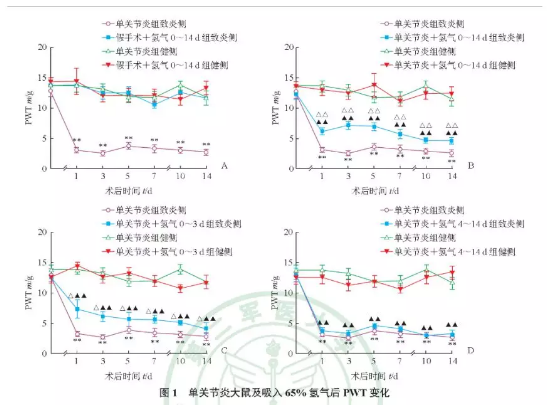 氫氣吸入改善關節(jié)炎