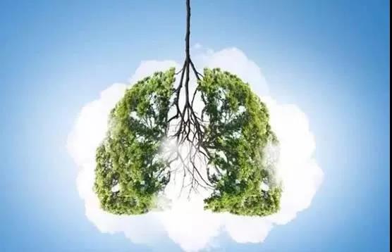 氫案例|肺癌患者家屬的陪護日記:吸氫是應對預后的有效手段