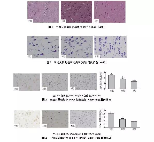 吸入高濃度氫氣對大鼠創(chuàng)傷性腦損傷的影響
