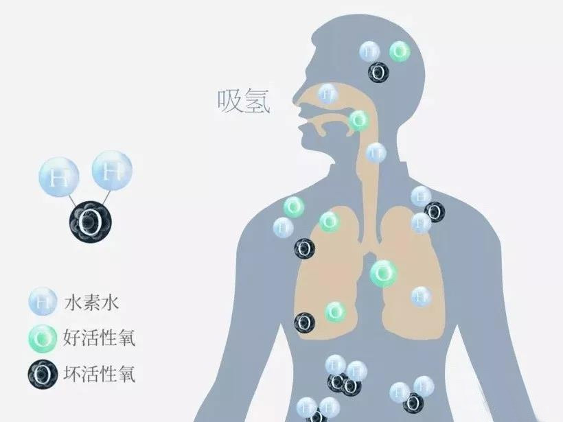 氫氣用于人體安全無(wú)虞的7大證據(jù)了解一下！