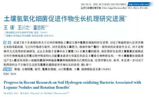 “氫氣肥料”什么意思？
