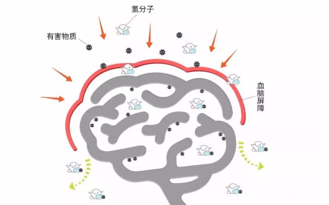 國(guó)產(chǎn)氫水助力毒癮戒斷反應(yīng)試驗(yàn)