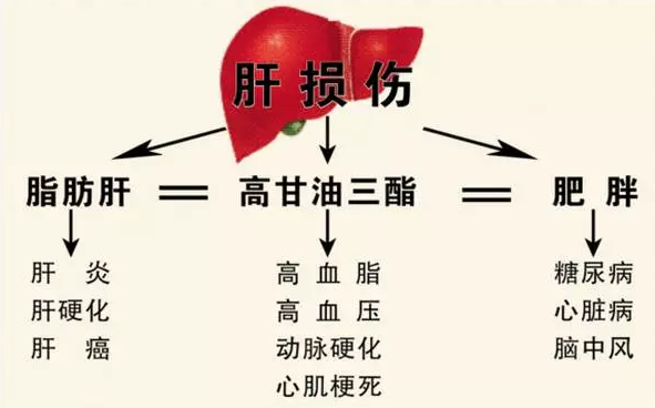 氫氣和高血脂