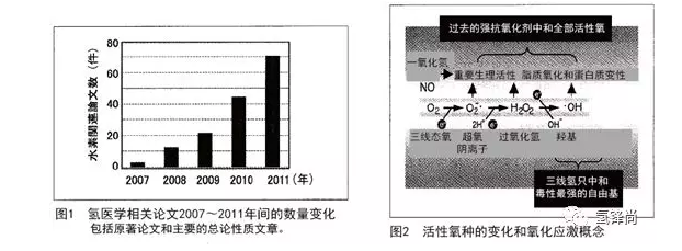 氫醫(yī)學從基礎(chǔ)到臨床