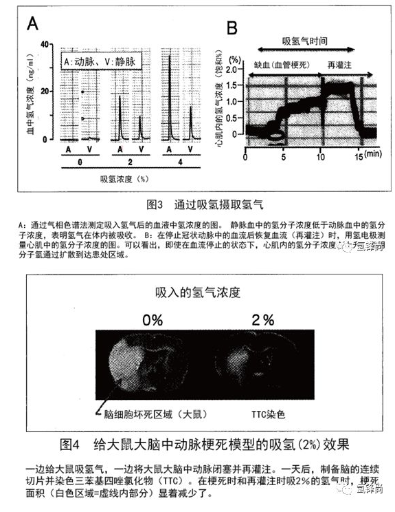 氫醫(yī)學(xué)從基礎(chǔ)到臨床