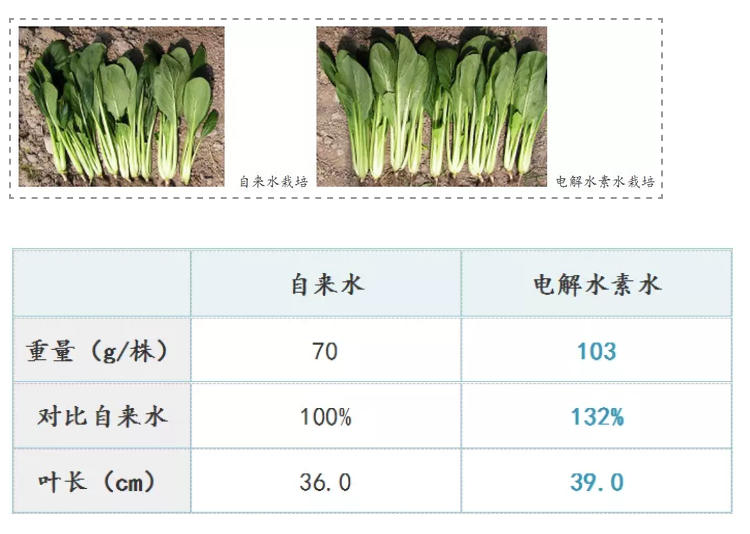 如何用電解水讓農(nóng)產(chǎn)品提質(zhì)增產(chǎn)？日本是這樣做的