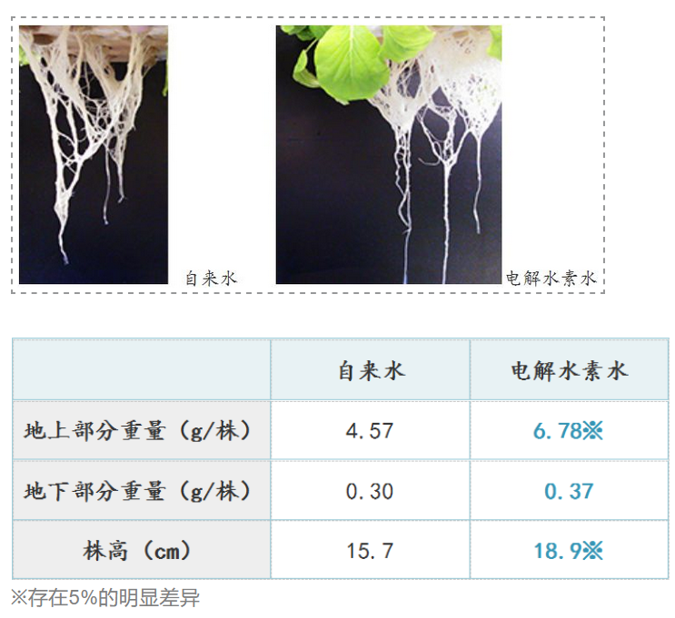 如何用電解水讓農(nóng)產(chǎn)品提質(zhì)增產(chǎn)？日本是這樣做的