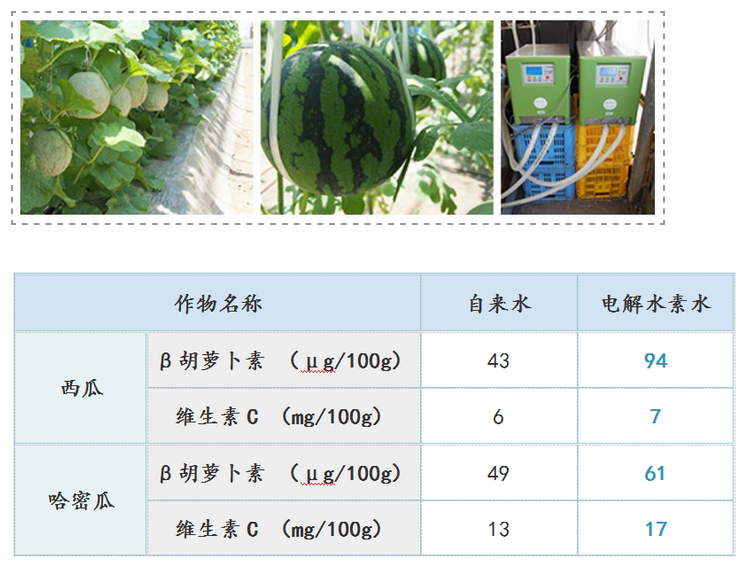 如何用電解水讓農(nóng)產(chǎn)品提質(zhì)增產(chǎn)？日本是這樣做的