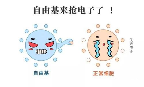 自由基為什么能誘發(fā)疾病？通過哪些途徑導(dǎo)致疾病發(fā)生？