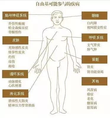 自由基能夠引起哪些疾病？