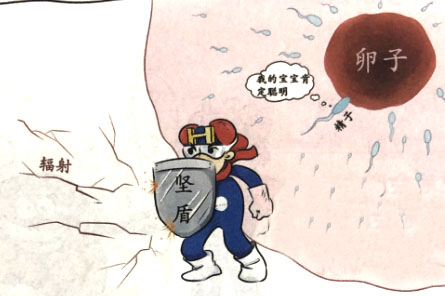 分子氫保護(hù)雄性生殖系統(tǒng)