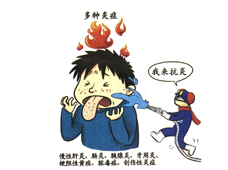 分子氫對炎癥性疾病的改善作用