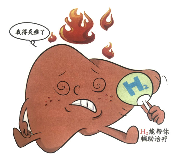 分子氫輔助改善肝炎