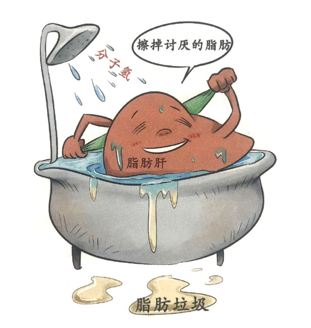 分子氫對脂肪肝等的其他保健作用