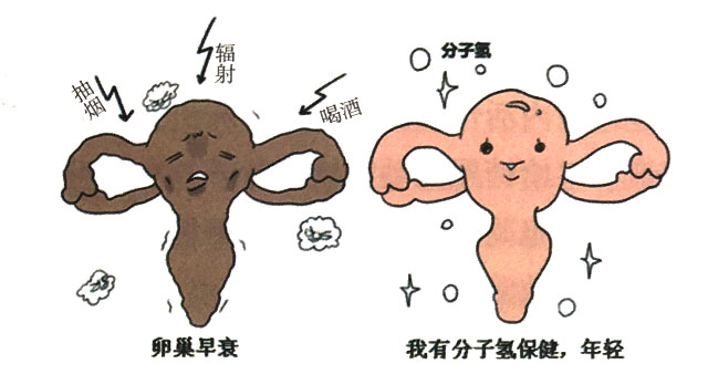 分子氫抗卵巢早衰的作用