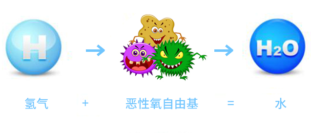 氫氣通過誘導肝臟FGF21表達促進能量代謝治療肥胖
