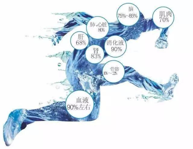 富氫水杯多少錢(qián)一個(gè)?為什么價(jià)格差異如此大？