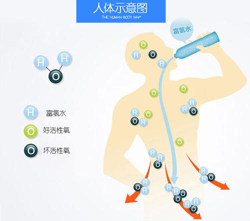 富氫水的減肥效果如何呢？通過(guò)一則故事告訴你