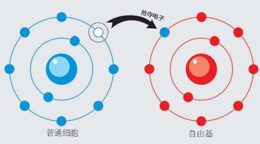 南方都市報：廣州腫瘤專家還用“氫”控癌