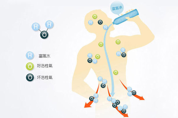 日本的素水杯有什么用 氫氣水幫助調(diào)節(jié)平衡人體體質(zhì)
