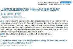 氫肥料：能消化氫氣的土壤細(xì)菌是好菌！