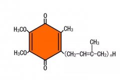 復(fù)合物I極化分解氫氣的可能機制（J4）