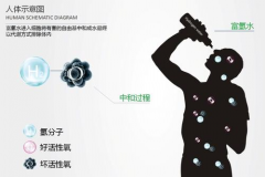 為什么要吸氫+喝氫水？看完你就知道！