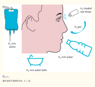氫氣治療：肝臟疾病的新選擇