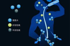 吸氫+喝氫水，實現(xiàn)1+1＞2的養(yǎng)生效果