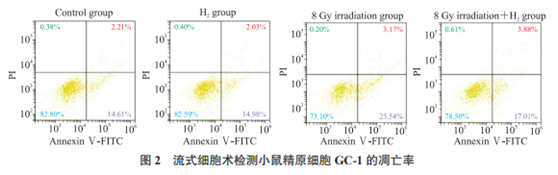 氫氣緩解照射后GC-1細(xì)胞凋亡率升高