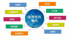 吸氫氣適合什么樣的人群？