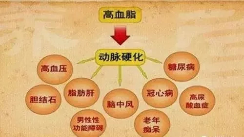 血脂一高,心梗 腦梗統(tǒng)統(tǒng)來了 用它泡水,降脂 通血管